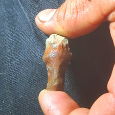 Small Brown & Tan Flint Knapped Stone Projectile Point / Tool - Ownership N/A picture