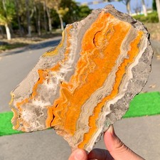 417G Natural Bumblebee Ocean Jasper Quartz Crystal Specimen Healing picture