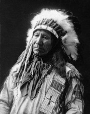 Native American CHIEF AMERICAN HORSE Glossy 8x10 Photo Oglala Lakota Print Sioux picture