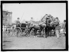 Photo:HORSE SHOWS. JUDGING TEAM picture