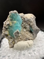 Rare Seafoam Blue Borcarite Crystals on Matrix (Thumbnail) - Charcas, Mexico picture
