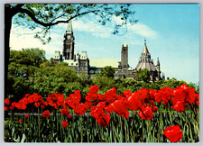 c1960s Ottawa Ontario Parliament Buildings Tulips Major Hill Postcard picture
