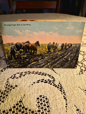 S. H. Knox & Co. Divided Back Lithograph Postcard Plowing Marion ND 1913 picture