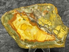 A+ Rocky Butte Picture Jasper Slab, Lot#921 picture