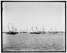 Photo:Vineyard Haven Massachusetts New York Yacht Club Fleet 1892 Yachts picture
