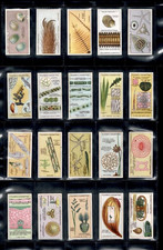 1929 JOHN PLAYER & SONS HIDDEN BEAUTIES 25 TOBACCO CARD SET picture