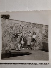 Vintage 1950s B&W Snapshot Photo  2 1/4