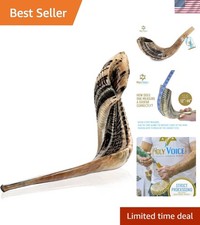 Holy Voice Kosher Ram Shofar Horn from Israel 12