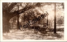 Real Photo Jack London's Hammock London Ranch Glen Ellen CA California RPPC N89 picture