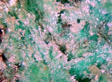 AJOITE - Finely Crystallized - Type Locality - New Cornelia Mine,A picture