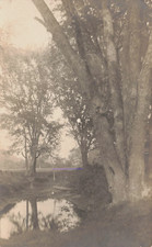 WATER STANDING BELOW TREES PEACEFUL COUNTRY SCENE REAL PHOTO POSTCARD 1906 RPPC picture