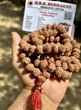 LAB CERTIFIED Rare 10 Mukhi RUDRAKSHA Rudraksh Mala ROSARY 108+1 Prayer Beads picture