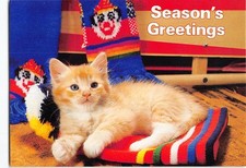 Postcard Season's Greetings Cute Kitten picture