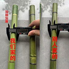Chinese Dao Sword Steel Blade Full Tang Single Edge Bamboo Handle Green Scabbard picture