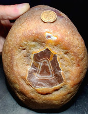 XXL Brazilian Agate: OVER 6.5lb, BIG Banded Window, High Parallax Iris Potential picture