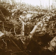 Destroyed shelter Les eparges northern France 1915 The Battle of L- Old Photo picture