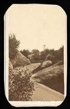 Photo:Central Park [New York City] picture