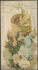 Photo:Rochester NY 1906 Mandeville King Co Flower Seed Children Poster picture