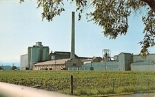 Sidney MT Montana Holly Sugar Factory Mill Refinery Plantation Vtg Postcard A41 picture