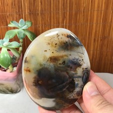 97-78-17mm Natural aquatic plants agate pretty Crystal specimens 197g A1874 picture