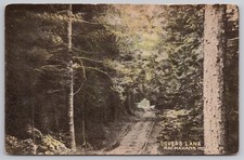 1905 Georgetown, Maine  MacMahan Island,  Lover's Lane, Hand-Colored ME Postcard picture