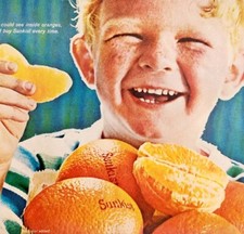 1965 Sunkist Navel Oranges Advertisement Fruits Food Vintage Advert DWII24 picture