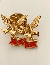 CFC Combined Federal Campaign Double Eagle Goldtone  & Enamel Pin picture