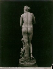 GA73 1920s Original Photo VENERE DE'MEDICI Celebre Lavoro Greco di Cleomene Art picture