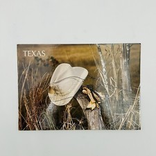 VINTAGE Texas Postcard Cowboy Wild West Country Americana USA Nature Gloves Hat picture