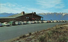 Vintage Hurricane Ridge Olympic National Park WA Postcard W. Ray Scott Cars picture