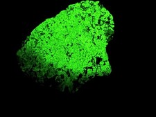 STRIKING Large Willemite Fluorescent Mineral Specimen - Franklin, NJ Z1 picture