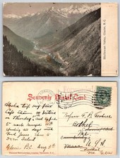 Glacier British Columbia Canada Illicillewaet Valley Postcard AI138 picture
