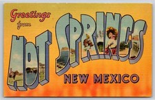 Hot Springs New Mexico~Desert Scene Greeting~Large Letter Vintage Linen Postcard picture