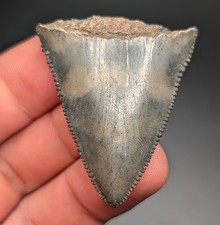 Gorgeous Patterned 1.75