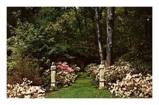 Postcard: WINTERTHUR GARDENS Henry Francis du Pont Winterthur picture