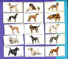 1931 JOHN PLAYER & SONS DOGS 50 TOBACCO CARD SET FROM PAINTINGS BY ARTHUR WADDLE picture