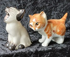 2 X SENESHALL STUDIO SIX KITTENS, GINGER / WHITE AND SLEEPY SIAMESE. picture