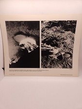 Apollo 12 Moon Landing Surveyor 111 NASA Photo 1970 Astronauts Conrad Allen Bean picture