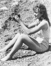 Photo: Hayley Mills - child actress picture