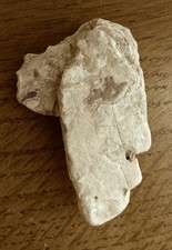 Early American Rock Art Arkansas River Sand Springs, OK picture
