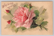 1910 Antique Floral Postcard Pink Rose Blossom picture