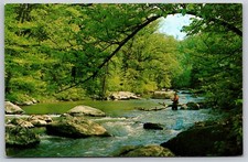 Hunterdon County New Jersey Postcard A Fishermans Paradise Raritan River Spring picture