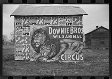 Lynchburg VA 1936 Downie Bros Circus Posters on Building Wild Animal Show picture