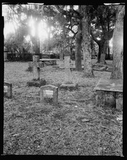 Photo:St Augustine Florida Huguenot Cemetery 1900s Tombstones Oaks picture