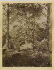 X. Phot. France, Forêt de Fontainebleau, Cavalière des Brigands Vintage Albumen  picture