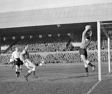 Anthony Macedo Fulhams goalkeeper saves a shot from Dennis Emery P- Old Photo picture