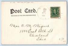 DPO (1894-1919) West Park OH Postcard Cat Kitten Stuck On Fly Paper 1908 Antique picture