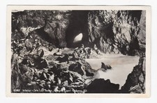 Interior View Sea Lion Caves Oregon Coast Highway 101 RPPC Real Photo Postcard picture