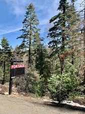 Cedarpines Park, CA Vacant Lot for Sale, Close to Lake Arrowhead, CA picture
