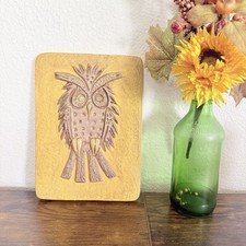 Vintage 1970s Owl Wall Plaque Hand Painted Bad Relief Folk Art Boho Decor picture